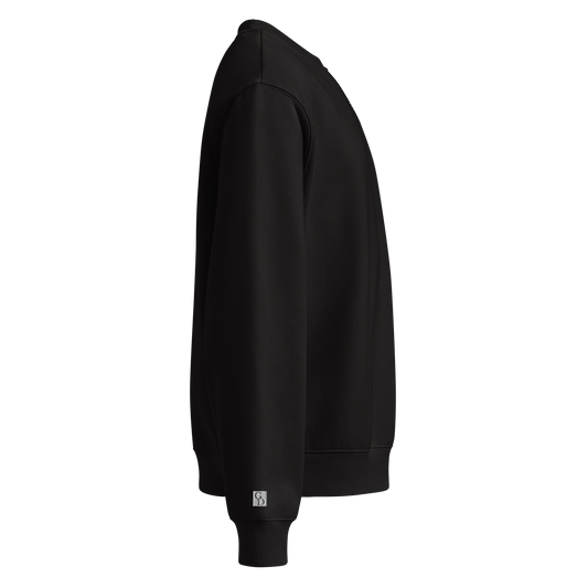 Be the glitch Embroidered Oversized Heavyweight Unisex Sweatshirt